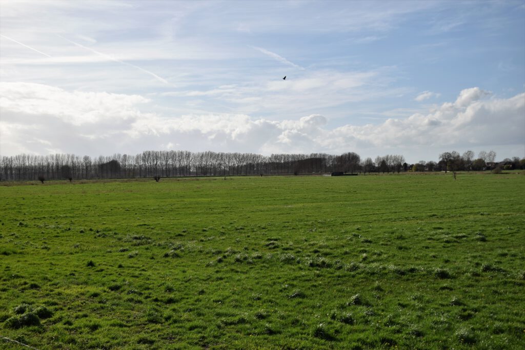 Natuur Meersen